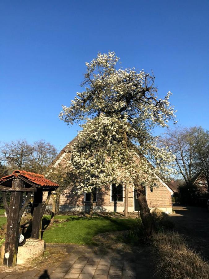 Villa In De Tuin In Gees Esterno foto